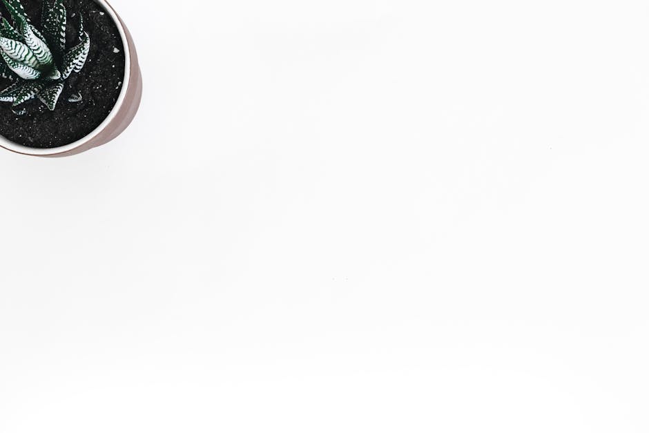 Single plant representing personal growth