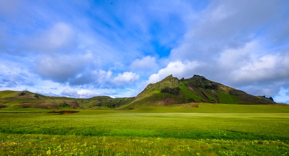 Expansive green hill landscape